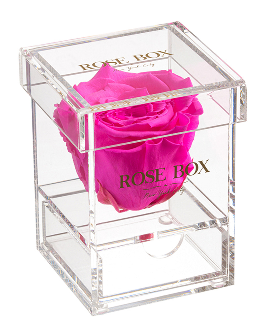 Rose Box Nyc Single Neon Pink Rose Jewelry Box