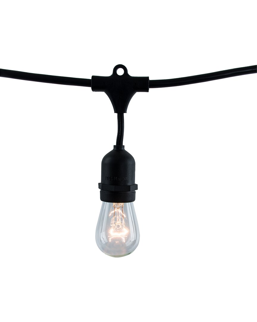 Bulbrite 48' 15-bulb Indoor/outdoor String Lights