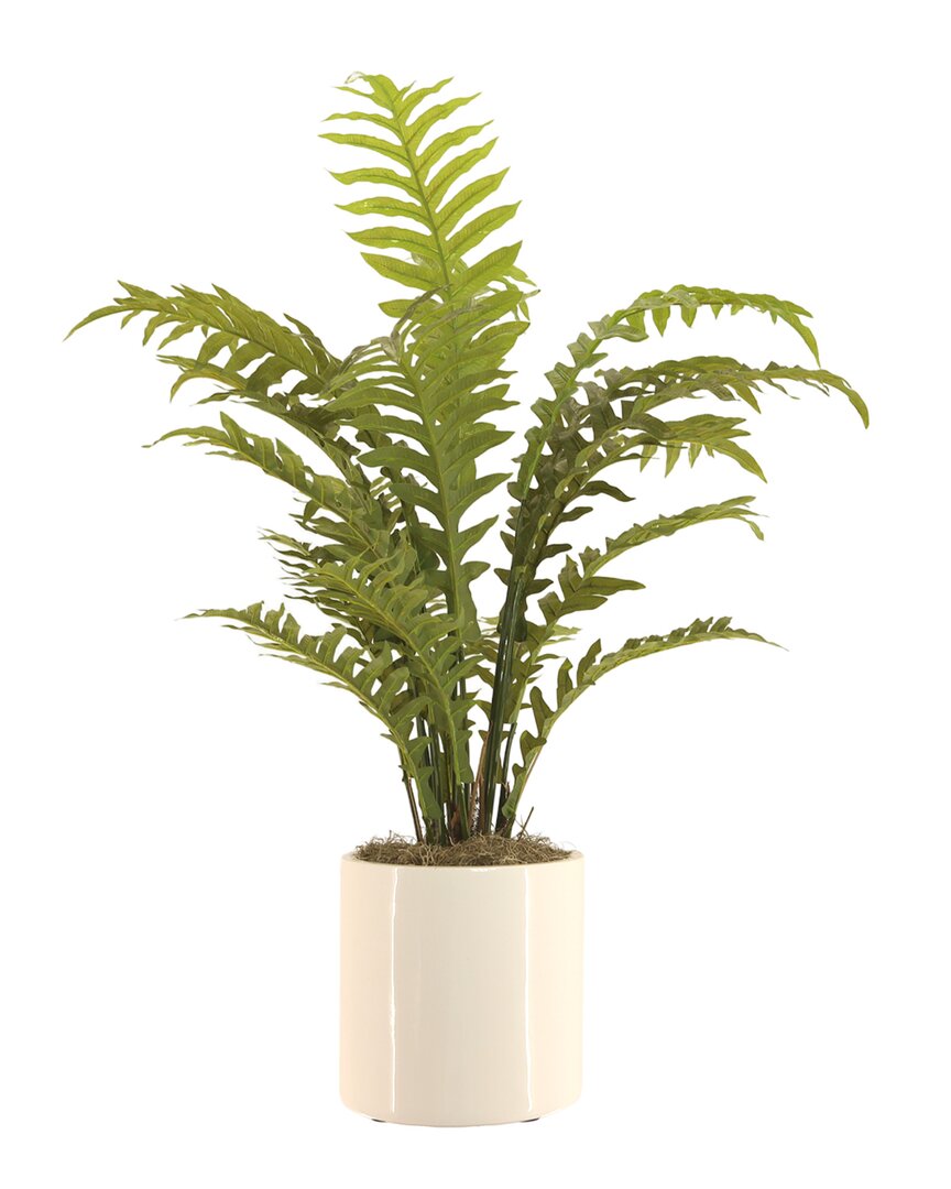 Creative Displays Green Fern Arrangement