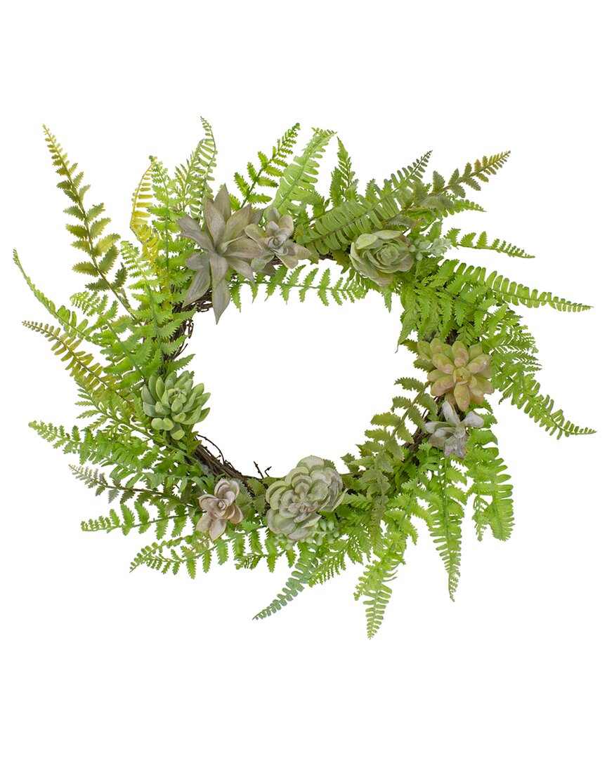 Northlight 22in Succulents & Foliage Artificial Spring Twig Wreath In Green