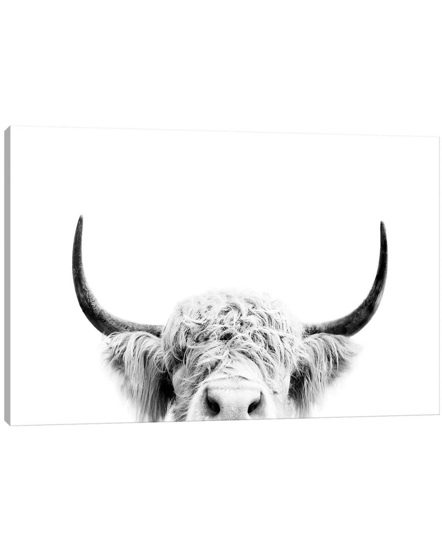Icanvas Peeking Cow In Black & White By Sisi & Seb Wall Art