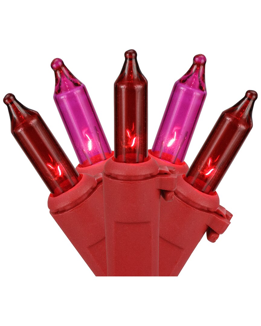 Shop Northern Lights Northlight 50ct Red And Pink Mini Valentine's Day Light Set 10ft Red Wire