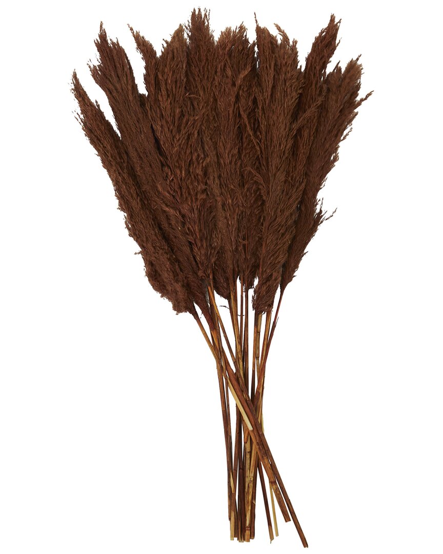 Peyton Lane Pampas Dried Plant Natural Foliage With Long Stems In Gold