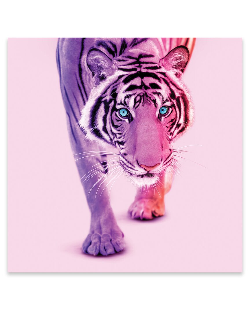 Icanvas Color Tiger Print On Acrylic Glass By Paul Fuentes