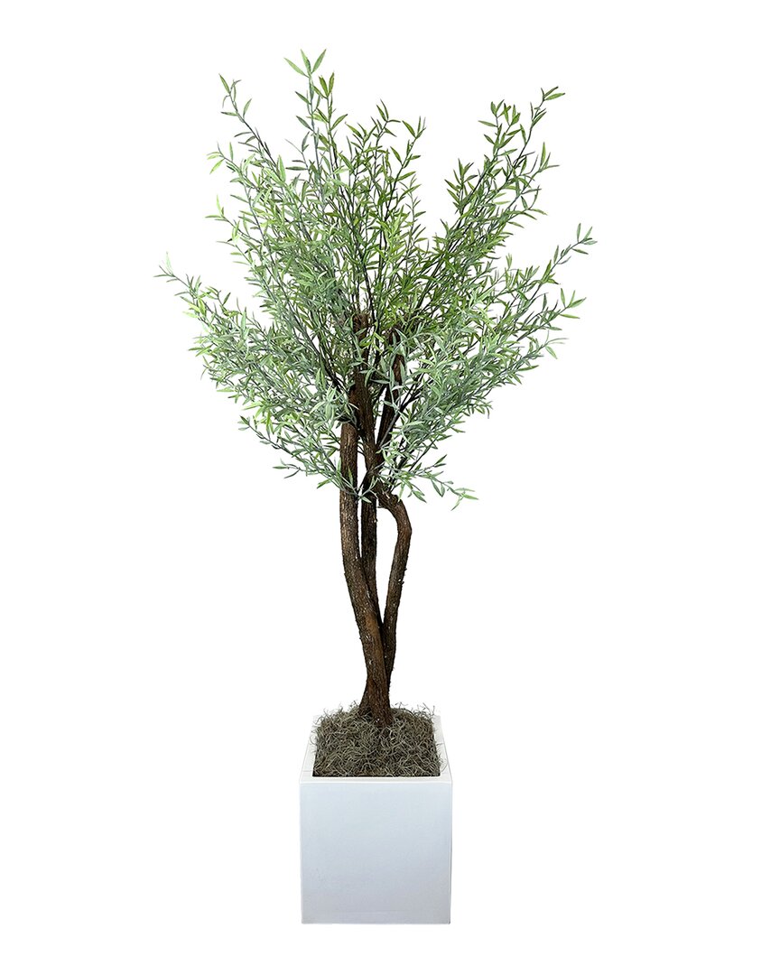 Shop Creative Displays Organic Modern Myrtle Tree In Pot In Green