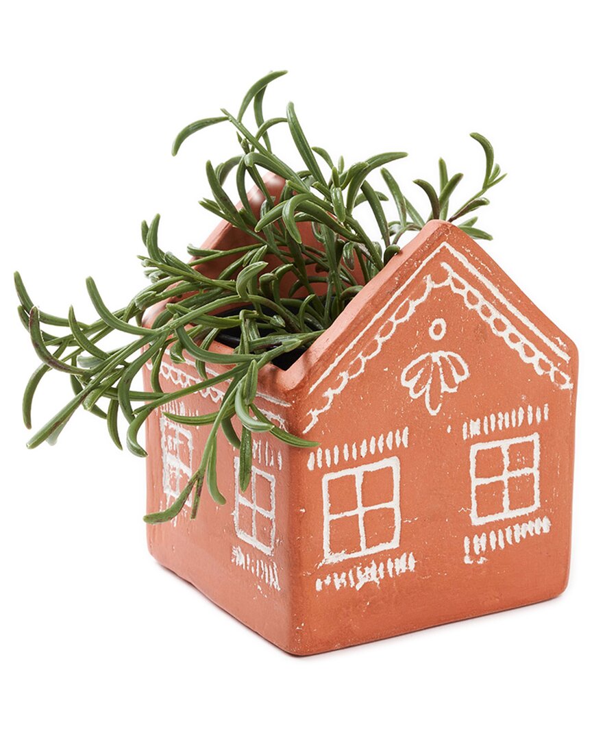 Matr Boomie Vasanta House Planter With Drainage