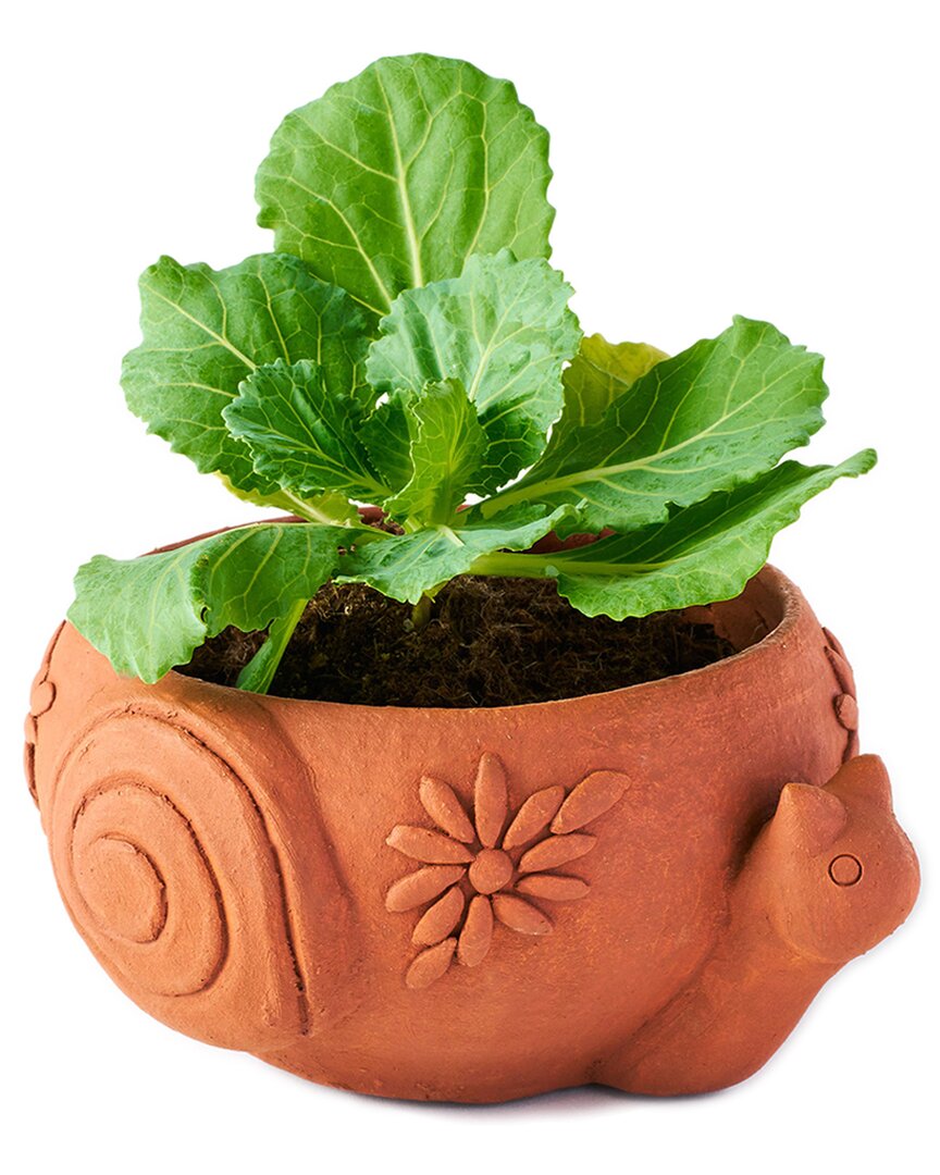 Matr Boomie Rakshana Snail Plant Pot