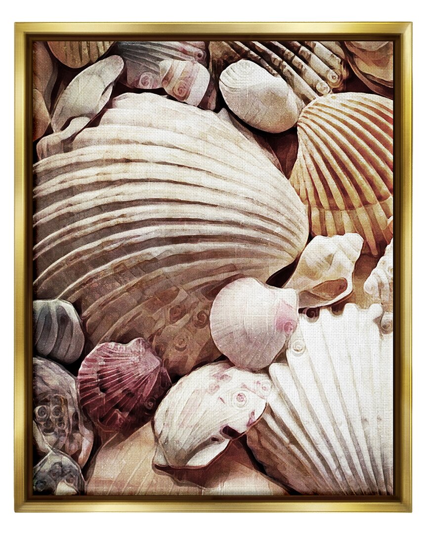 Stupell Various Nautical Clam Conch Shells Framed Floater Canvas Wall Art By Ashley Aldridge