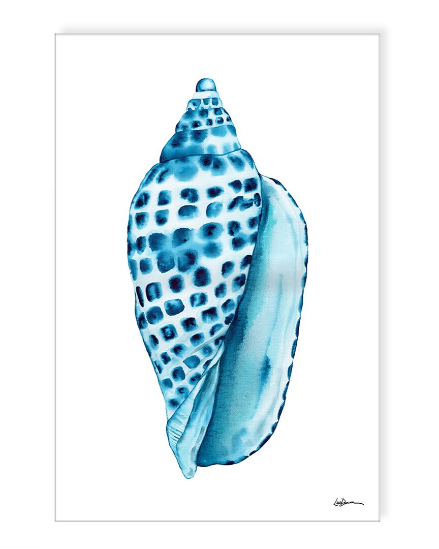 Ready2hangart Freckled Shell Wrapped Canvas Wall Art By Laurie Duncan