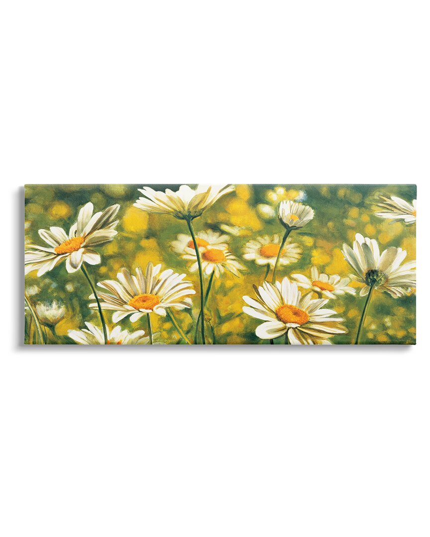 Stupell Wild Daisies Blooming Nature Garden Canvas Wall Art By Pierre Viollet