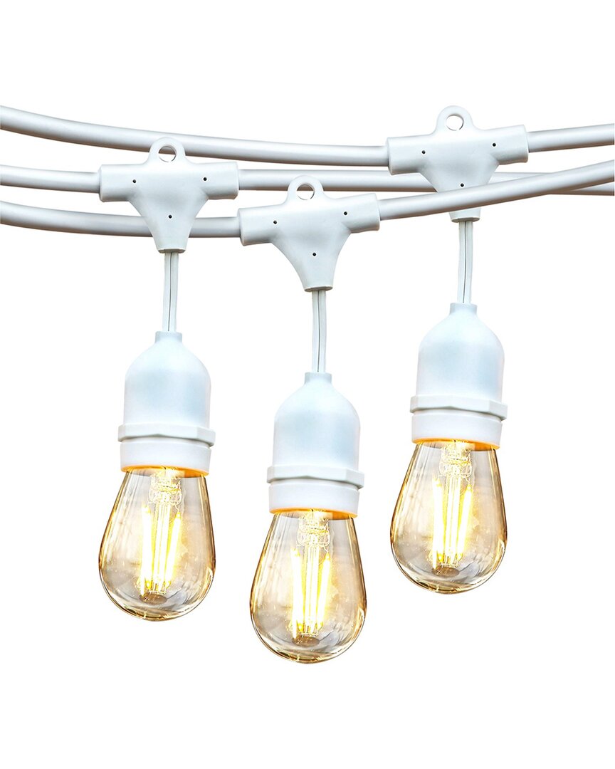 Brightech Ambience Pro 48' 15 Bulb Led Hanging String Lights In White