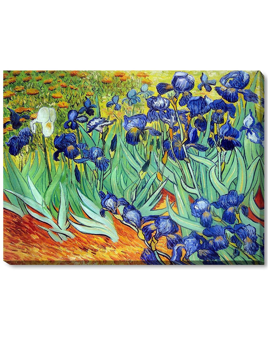 La Pastiche Irises By Vincent Van Gogh Wall Art In No Color