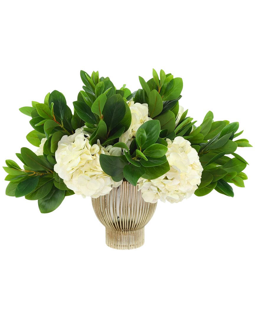 Creative Displays Hydrangea And Peperomia Arranged
