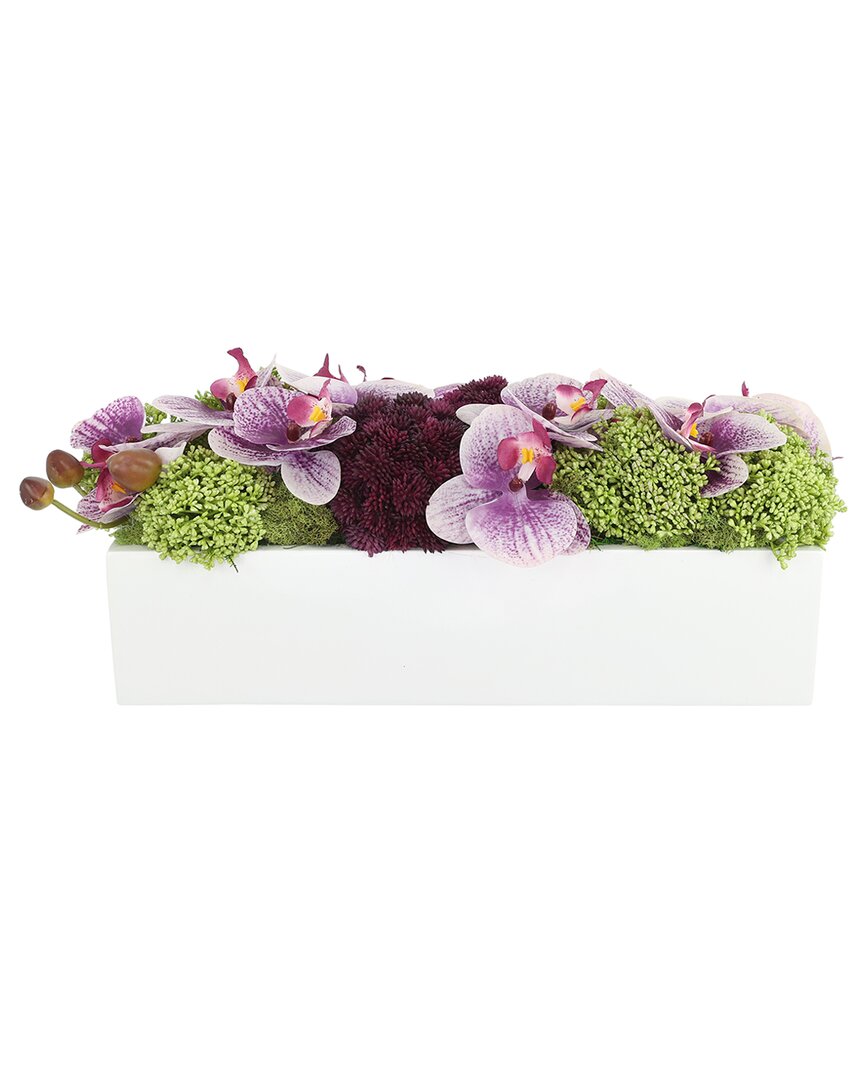 Creative Displays Contemporary Centerpiece With Purple Orchids & Sedum In Purple
