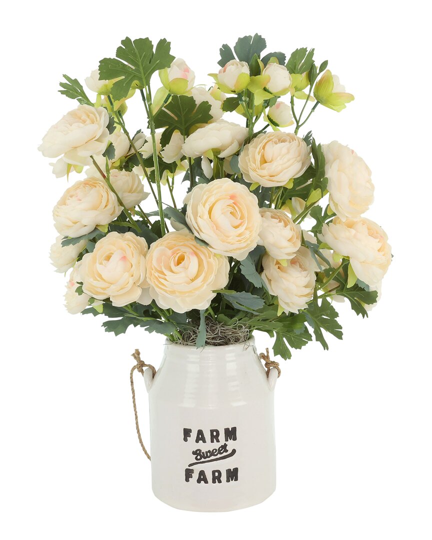 Creative Displays Ranunculus Arranged In Ceramic Pot In Multi