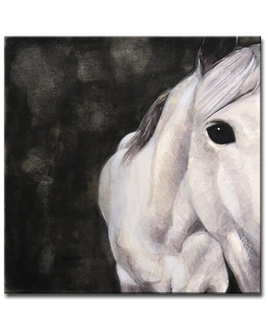 Ready2hangart Spirit Horse Wrapped Canvas Wall Art By Norman Wyatt