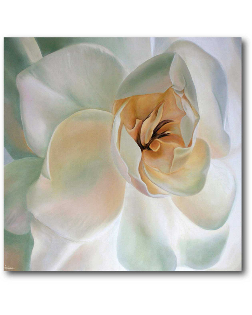 Courtside Market Wall Decor White Flower Ii Canvas