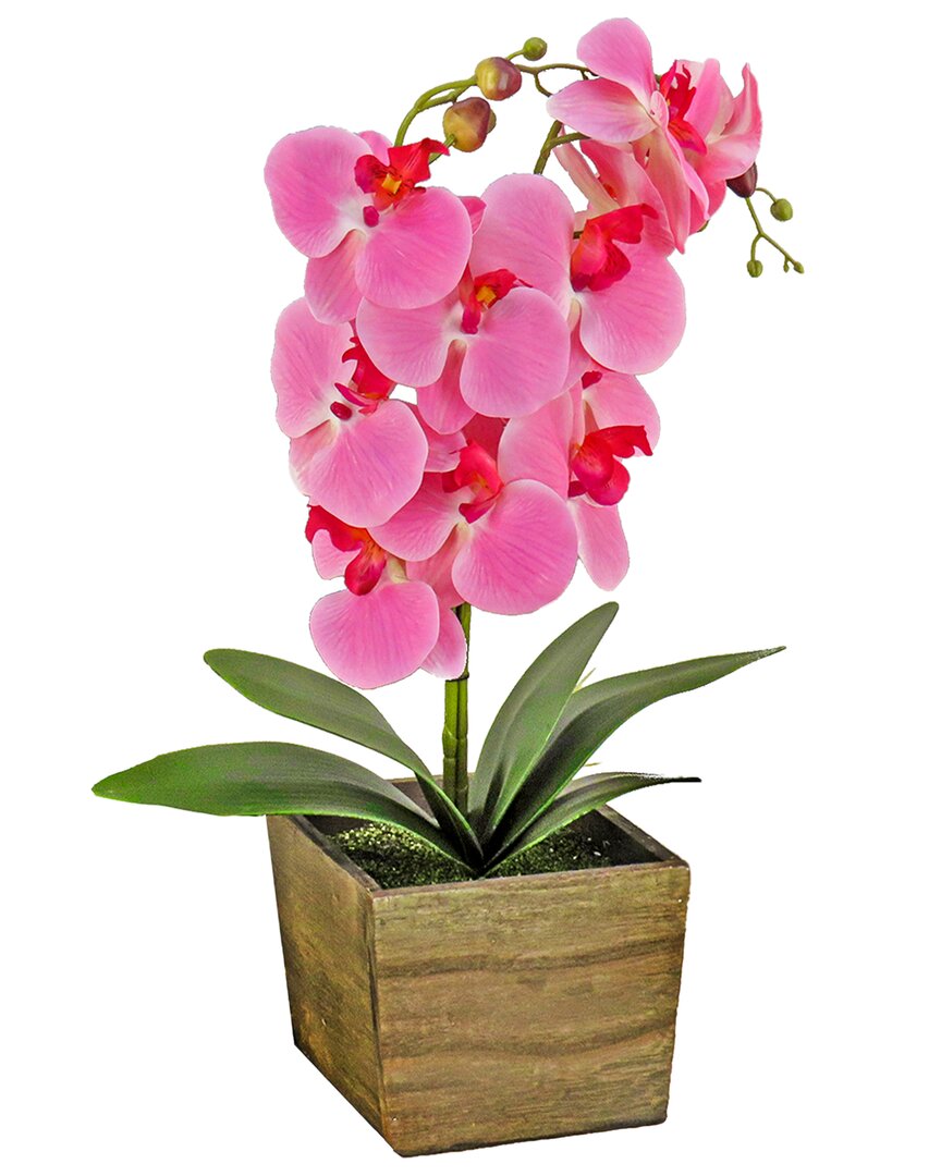 National Tree Company 21in Pink Orchid Flower In Wood Box