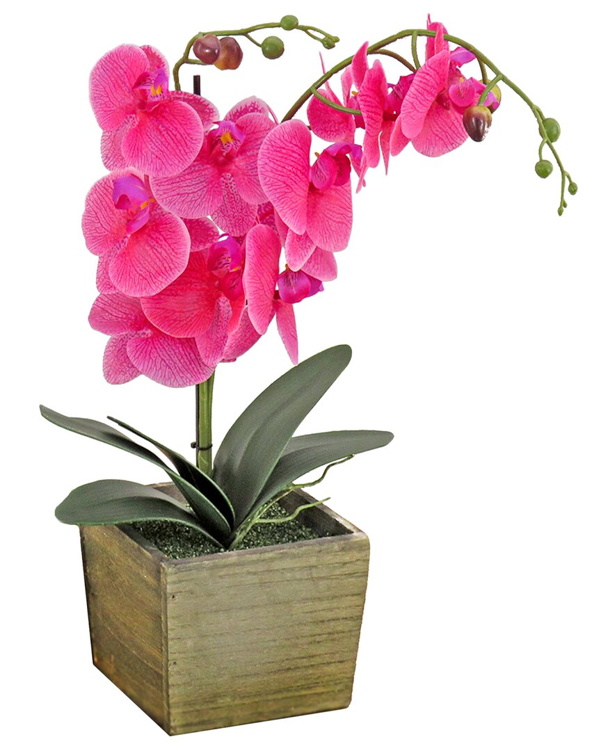NATIONAL TREE COMPANY NATIONAL TREE COMPANY PURPLE ORCHID FLOWER IN WOOD BOX