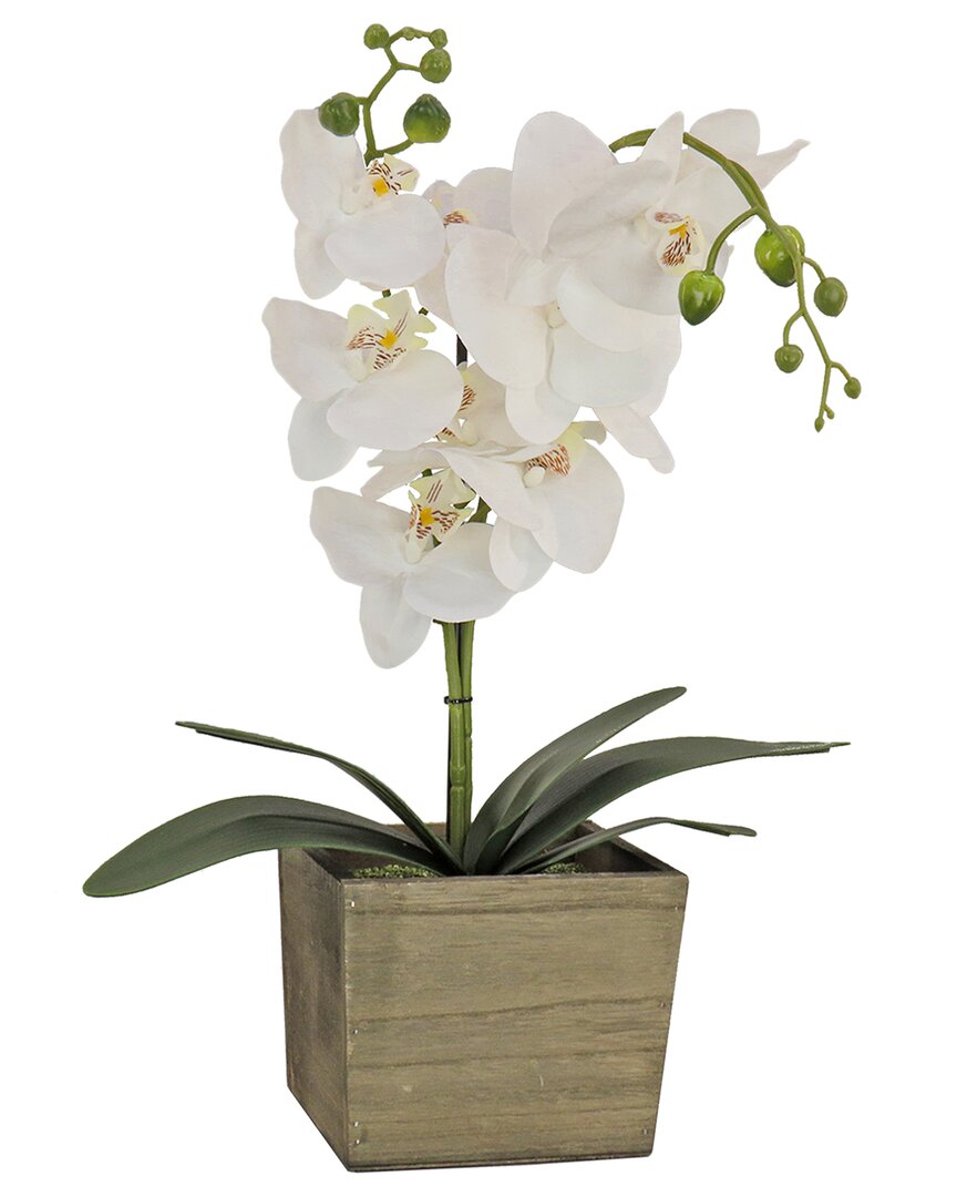NATIONAL TREE COMPANY NATIONAL TREE COMPANY WHITE ORCHID FLOWER IN WOOD BOX