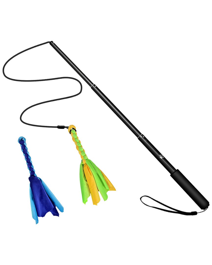 Fresh Fab Finds Extendable Dog Flirt Pole