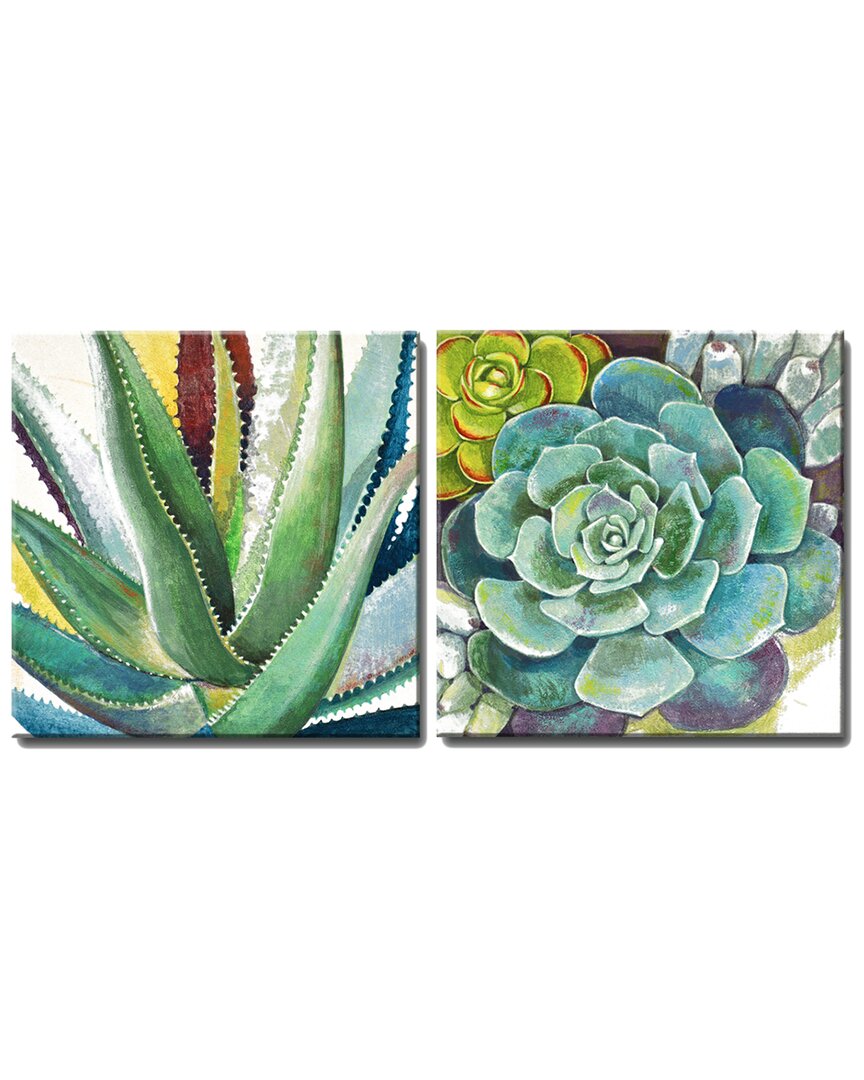 Ready2hangart Brilliant Succulents I/ii Wrapped Canvas Wall Art By Norman Wyatt