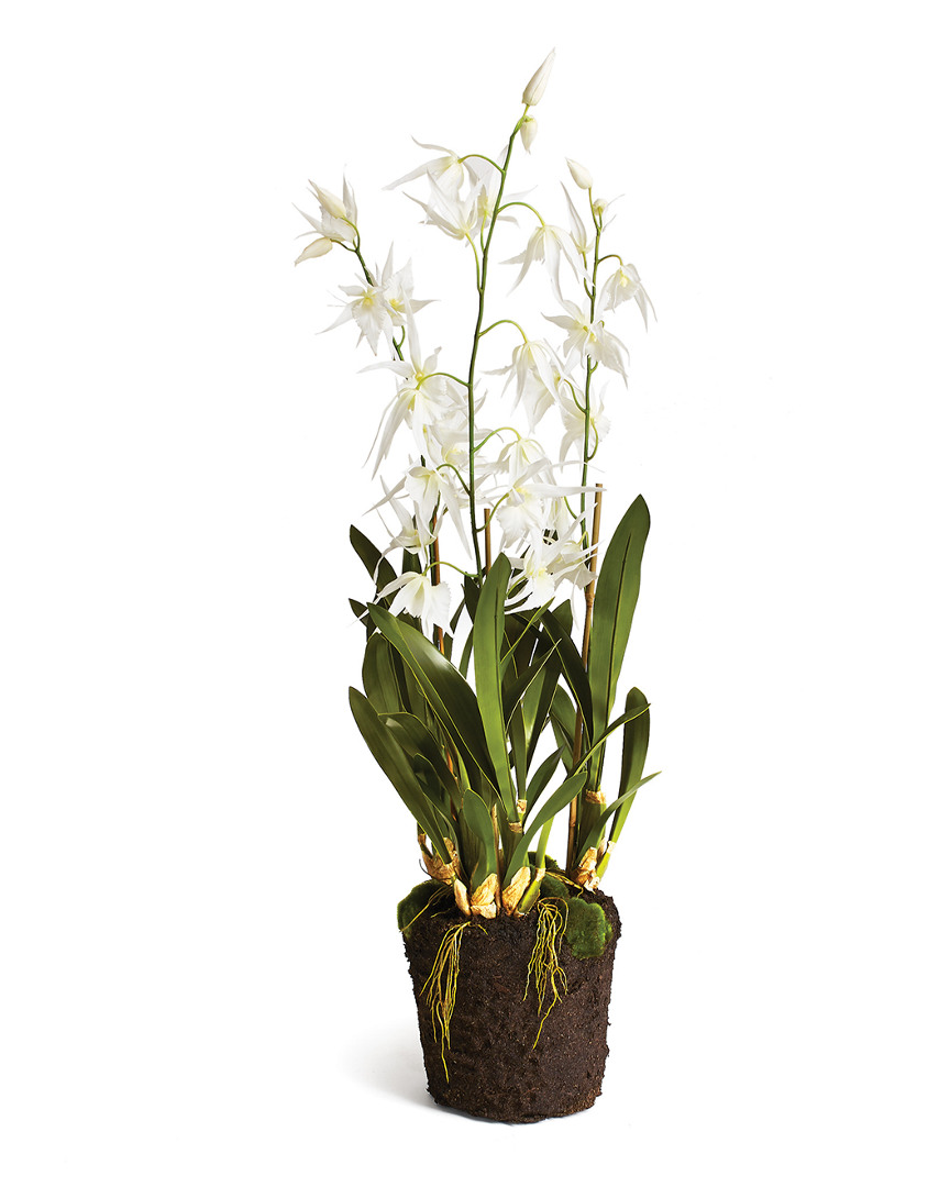 Napa Home & Garden Spider Orchid Drop-in In White