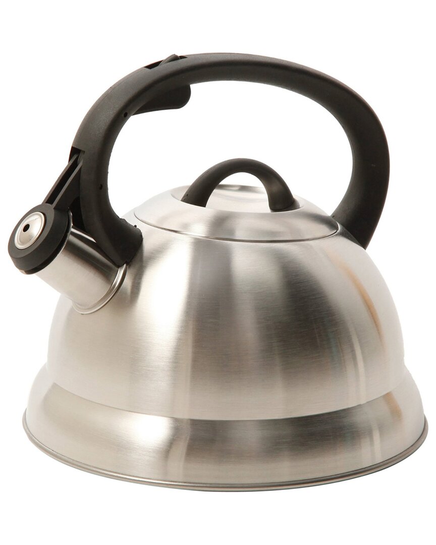 Mr Coffee Mr. Coffee Flintshire 1.75qt Stainless Steel Whistling Tea Kettle In Silver