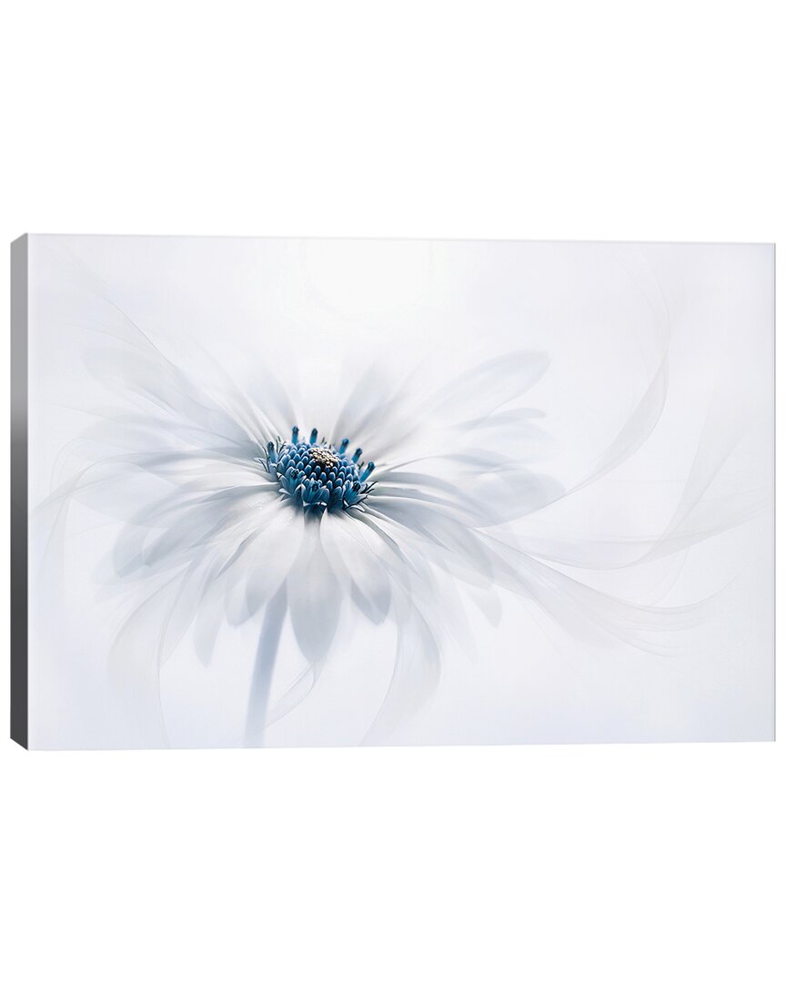 Icanvas Serenity By Jacky Parker Wall Art
