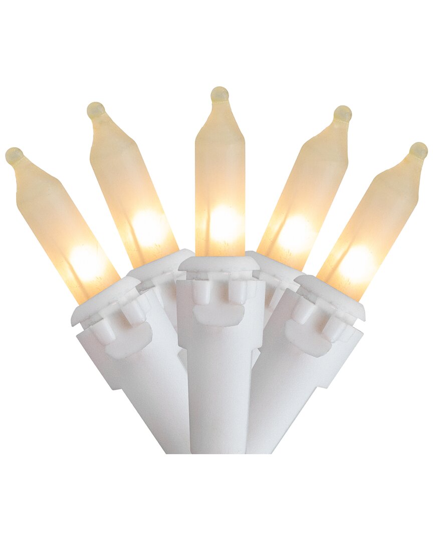 Northlight 100 Count Frosted Clear Mini Christmas Lights In Clear