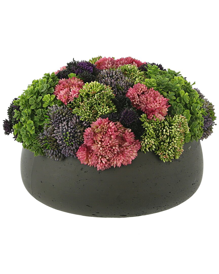 Creative Displays Sedum Arrangement In Round Planter In Green