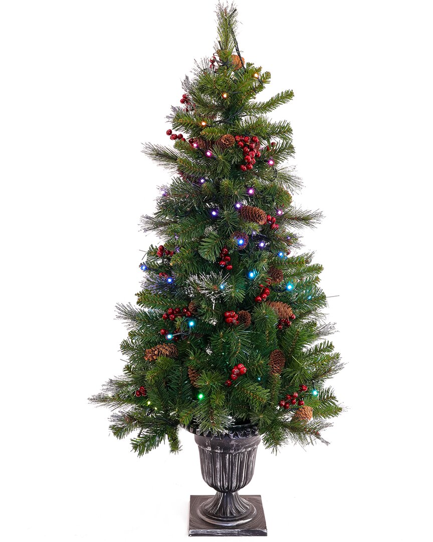 National Tree Company 4ft Crestwood Spruce Entrance Tree With Twinkly Led Lights In Green