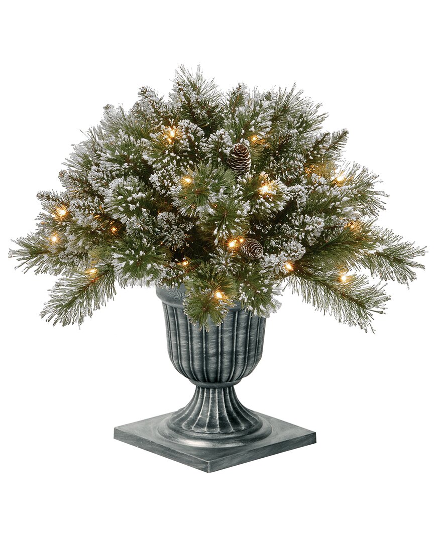 National Tree Company 24in Glittery Bristle Pine Porch Bush With Twinkle Led Lights In Green