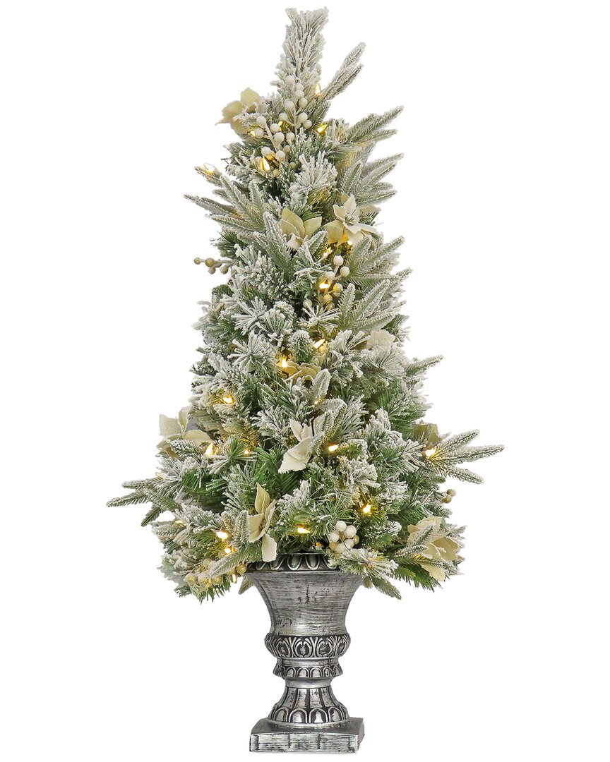 National Tree Company 4ft Frosted Colonial Fir Entrance Tree With Warm Lights In Green