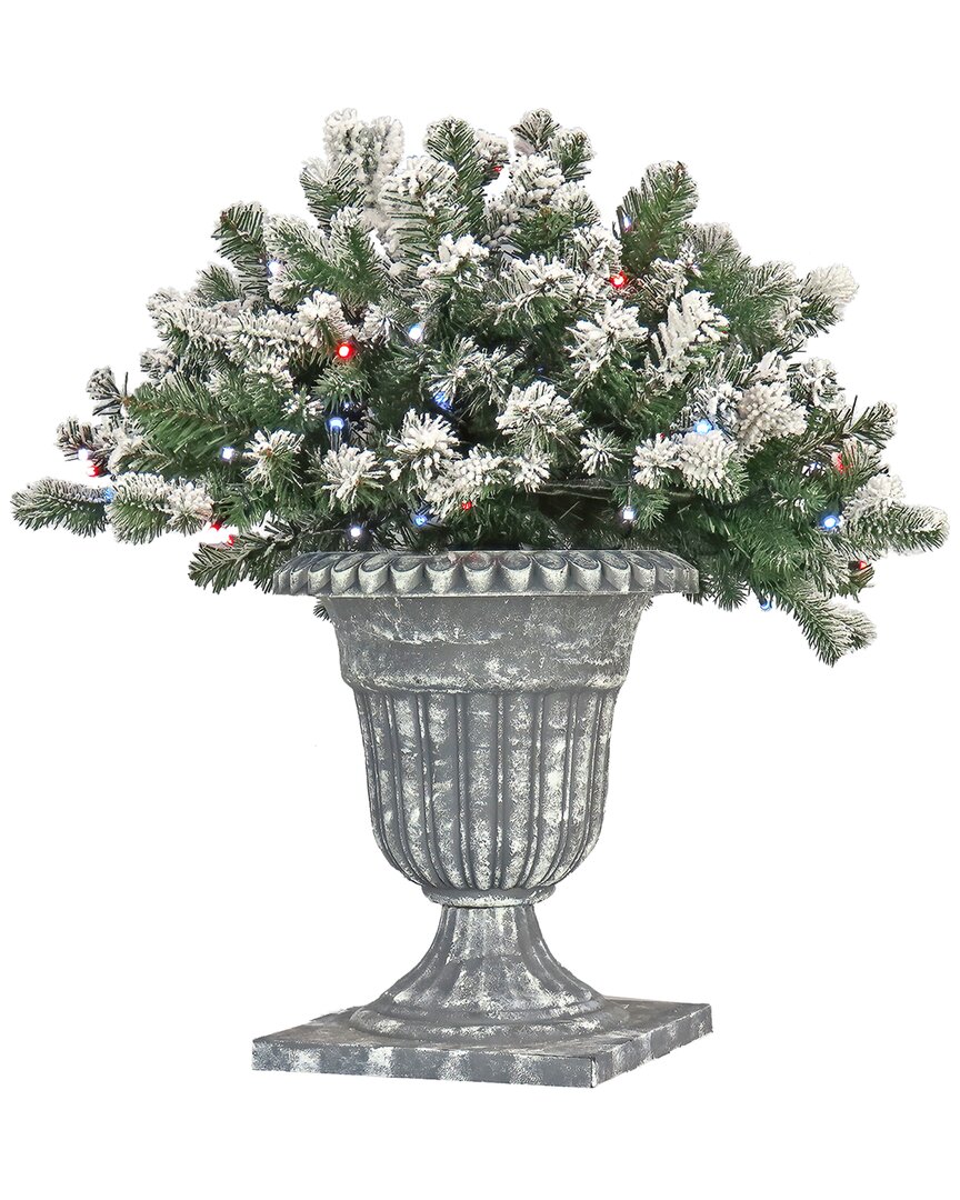 National Tree Company 24in Snowy Sheffield Spruce Porch Bush With Twinkly Led Lights In Green