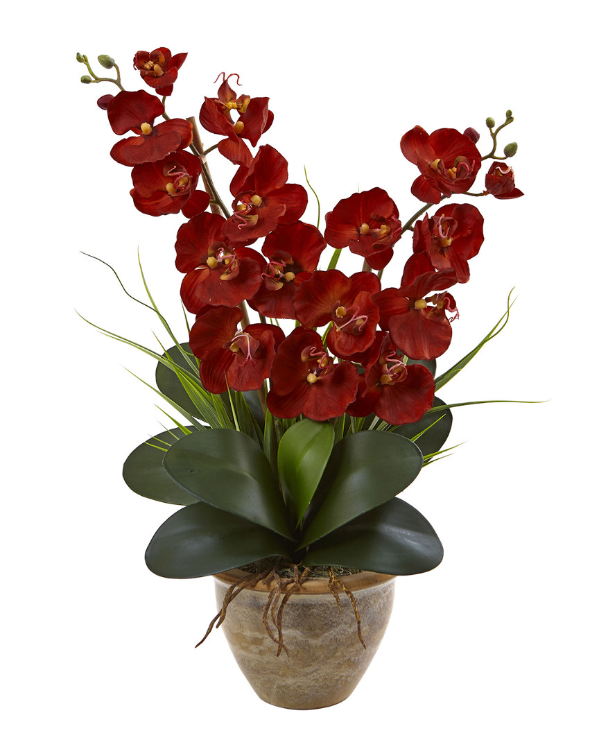Nearly Natural Triple Stem Phalaenopsis Silk Arrangement Seasona