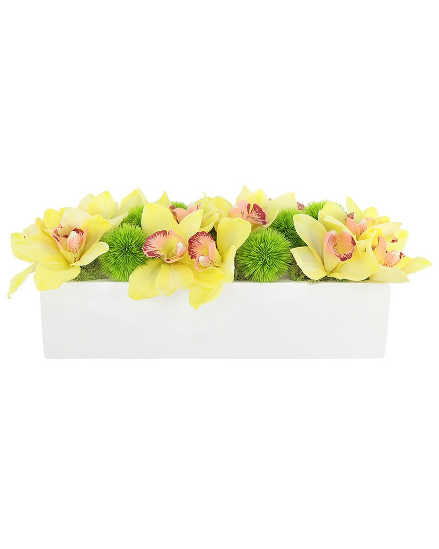 Creative Displays Modern Arrangement With Yellow Orchids & Green Allium In Yellow
