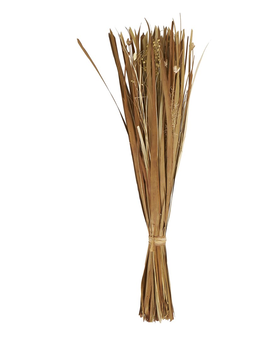 Peyton Lane Brown Dried Plant Natural Foliage