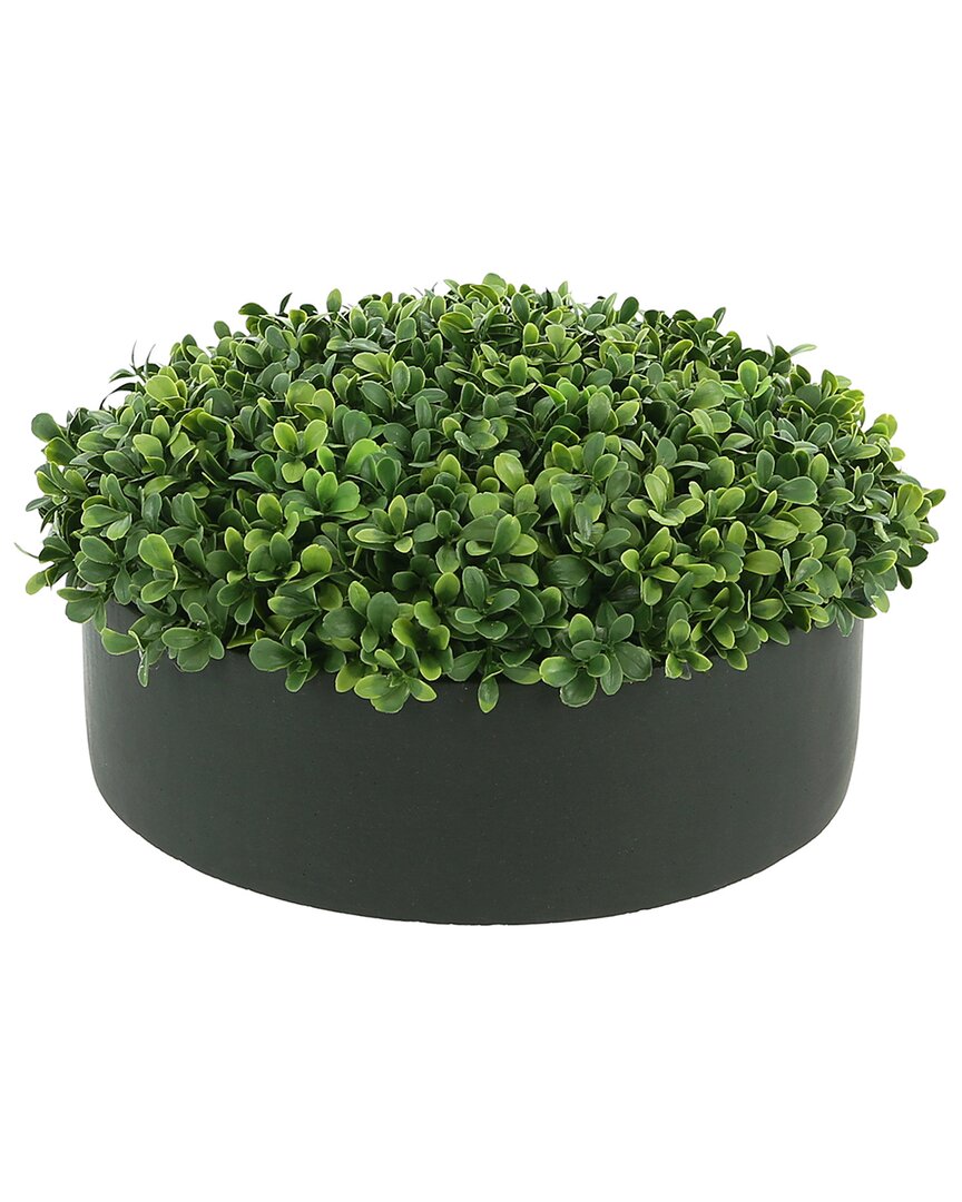 Creative Displays Boxwood In 12 Round Black Fiberstone Planter In Green