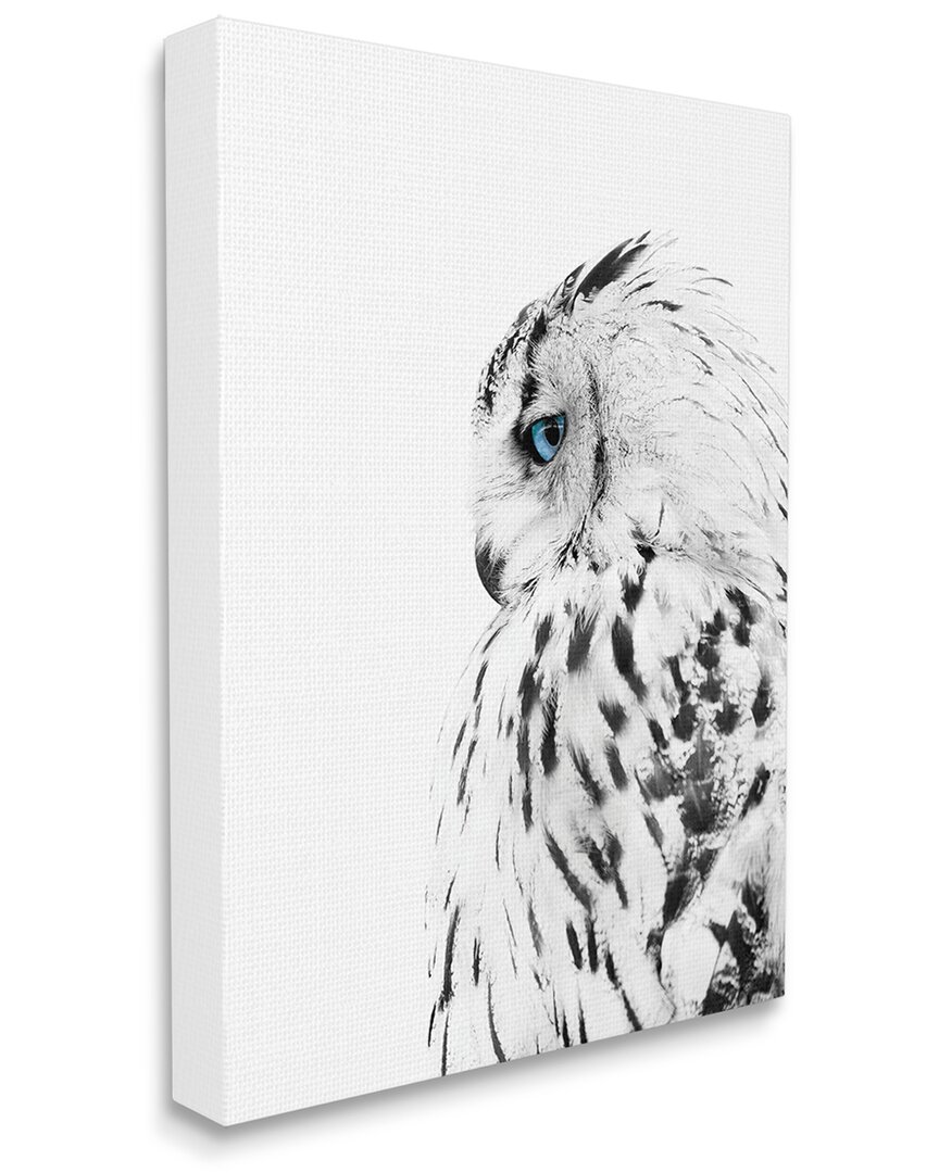 Stupell Industries Snow Owl White Feathers Peering Blue Eyes Stretched Canvas Wall Art By Design Fabrikken In White