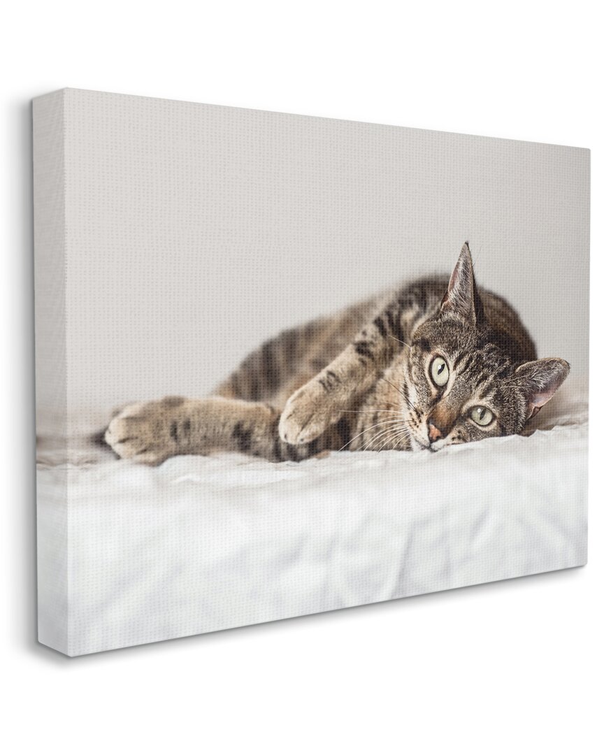 Stupell Industries Relaxed Pet Feline Cat Nap Green Eyes Stretched Canvas Wall Art By Marika Moffit In Grey