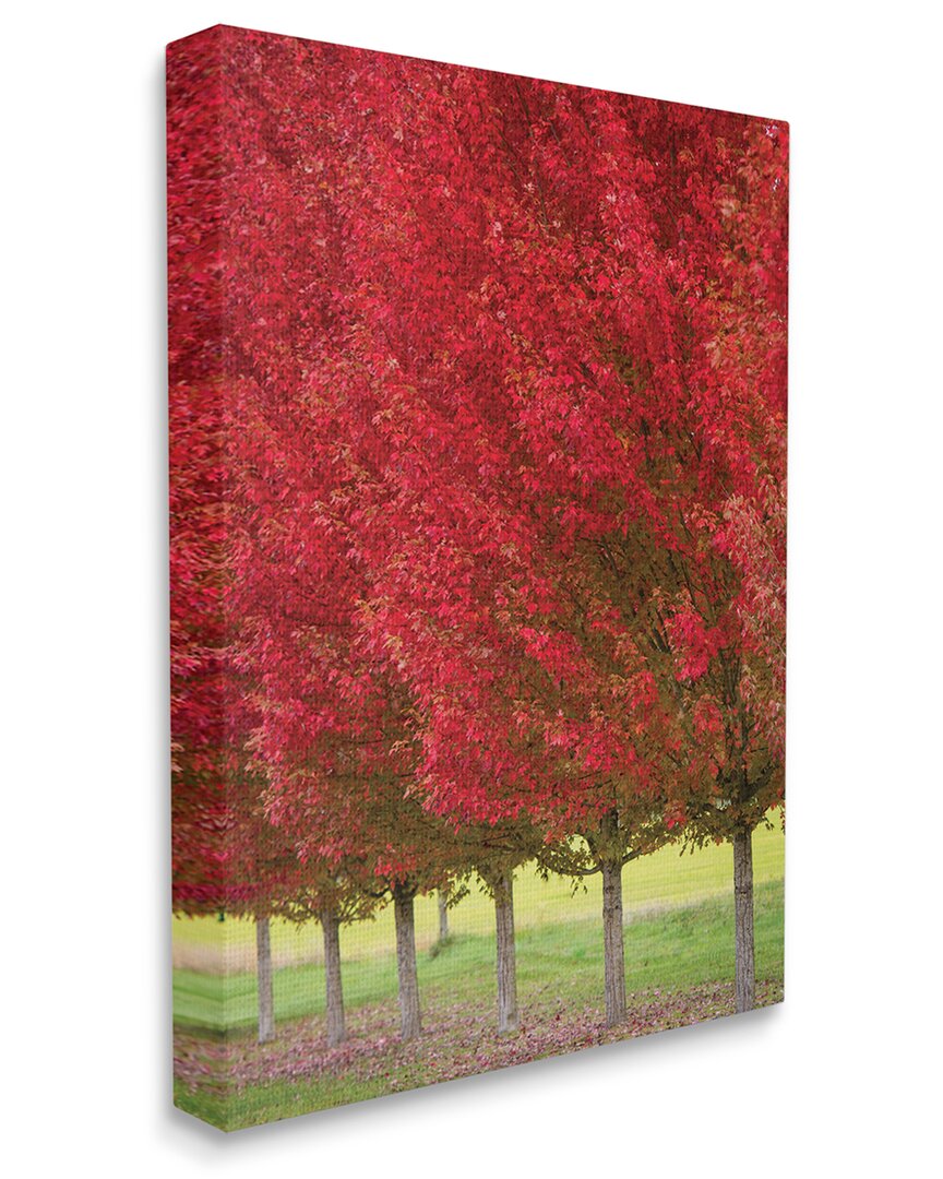 Stupell Industries Autumn Foliage Red Leaf Trees Nature Scene Stretched Canvas Wall Art By Nancy Crowell In Red