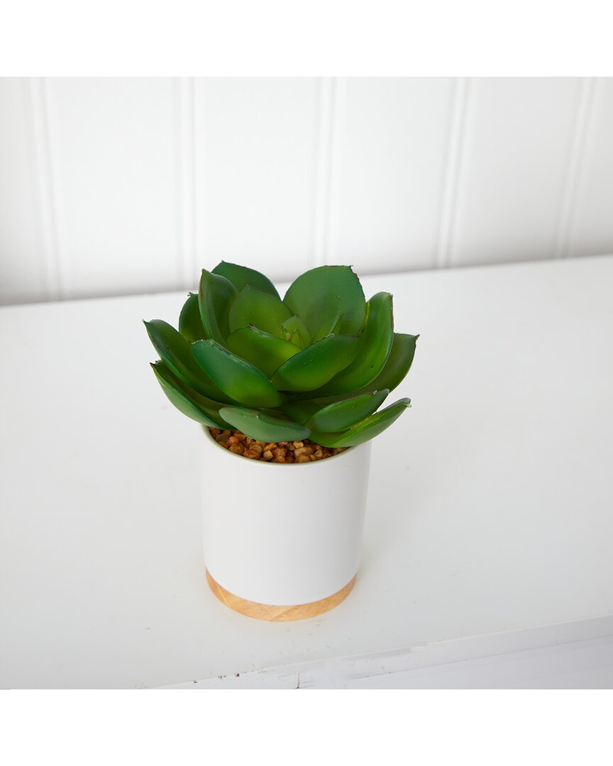Nearly Natural 6in Succulent Artificial Plant In White Ceramic Planter