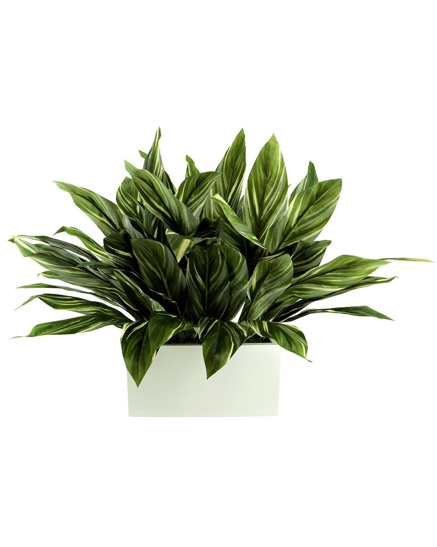 Creative Displays Foliage Arranged In A White Rectangular Planter In Green