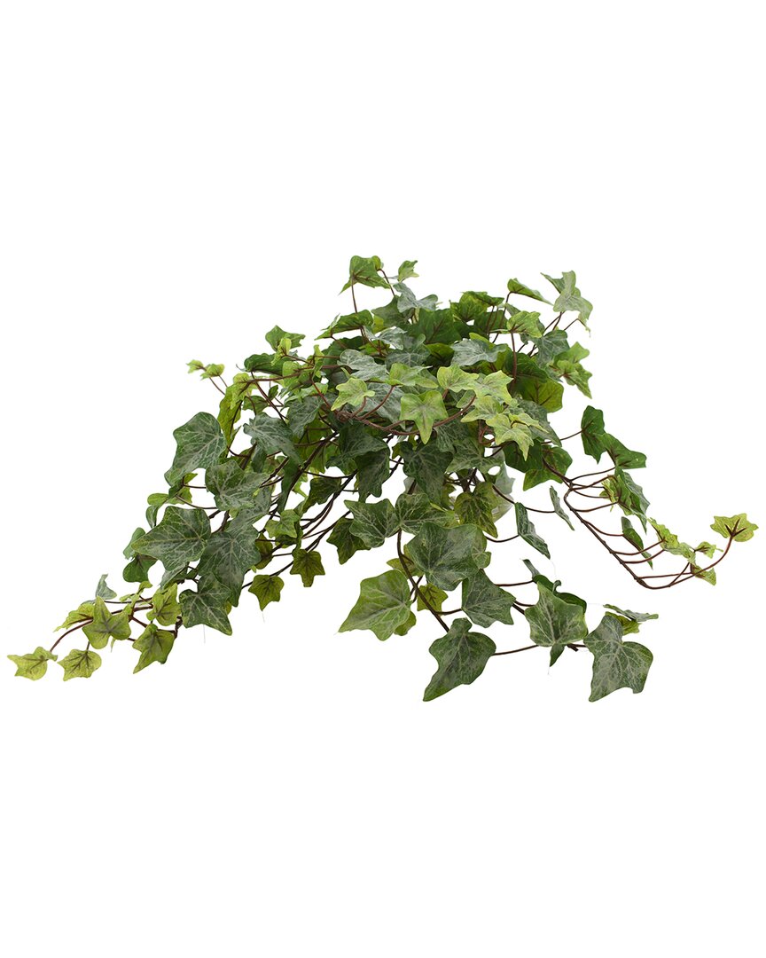 Creative Displays Trailing Green Ivy Arrangement