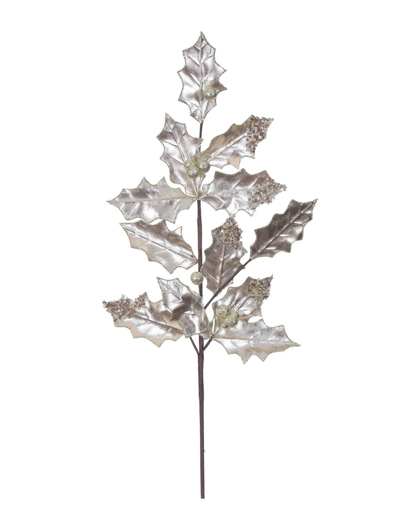 Vickerman 6pc Set 28in Champagne Holly Leaf Sprays In Silver