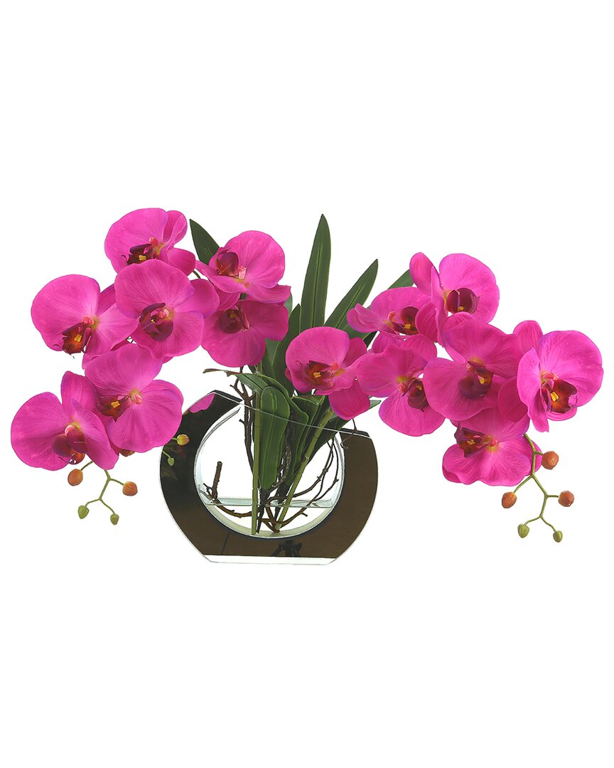 Creative Displays Magenta Orchids Floral Arrangement In A Glass Mirror Vase
