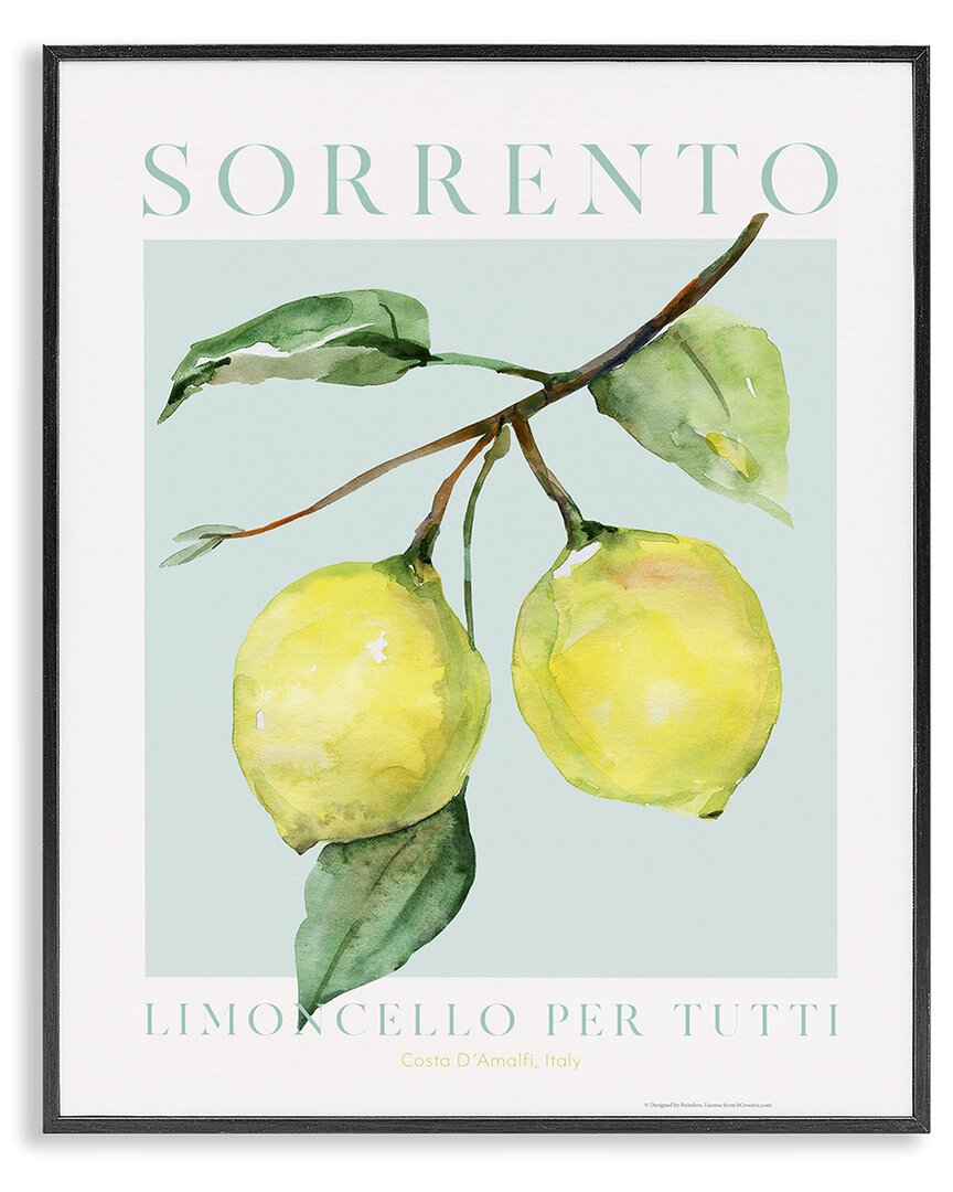 Stupell Industries Sorrento Lemon Branch Framed Giclee Art