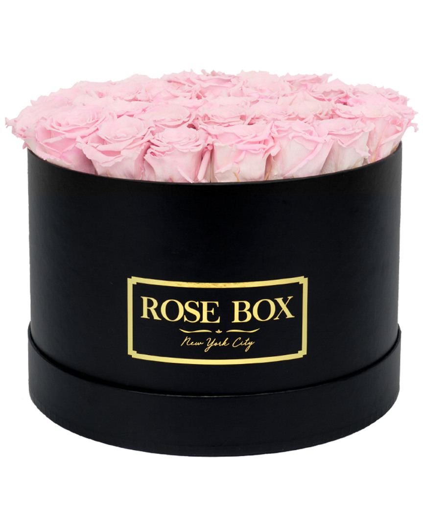 Shop Rose Box Nyc Large Black Box With Light Pink Roses