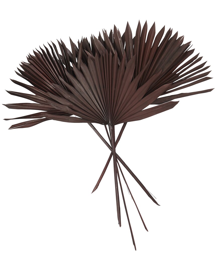 The Novogratz Palm Leaf Dark Brown Dried Plant Handmade Large Sun Palm Spear Natural Foliage